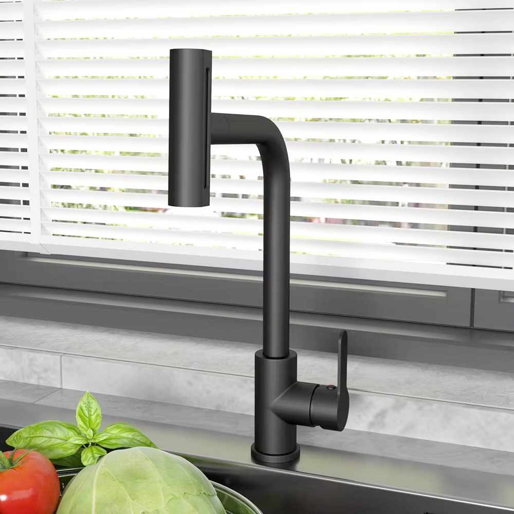 Schwarzer ausziehbarer Küchens – Commercial Kitchen Faucets Bewertung und Preis