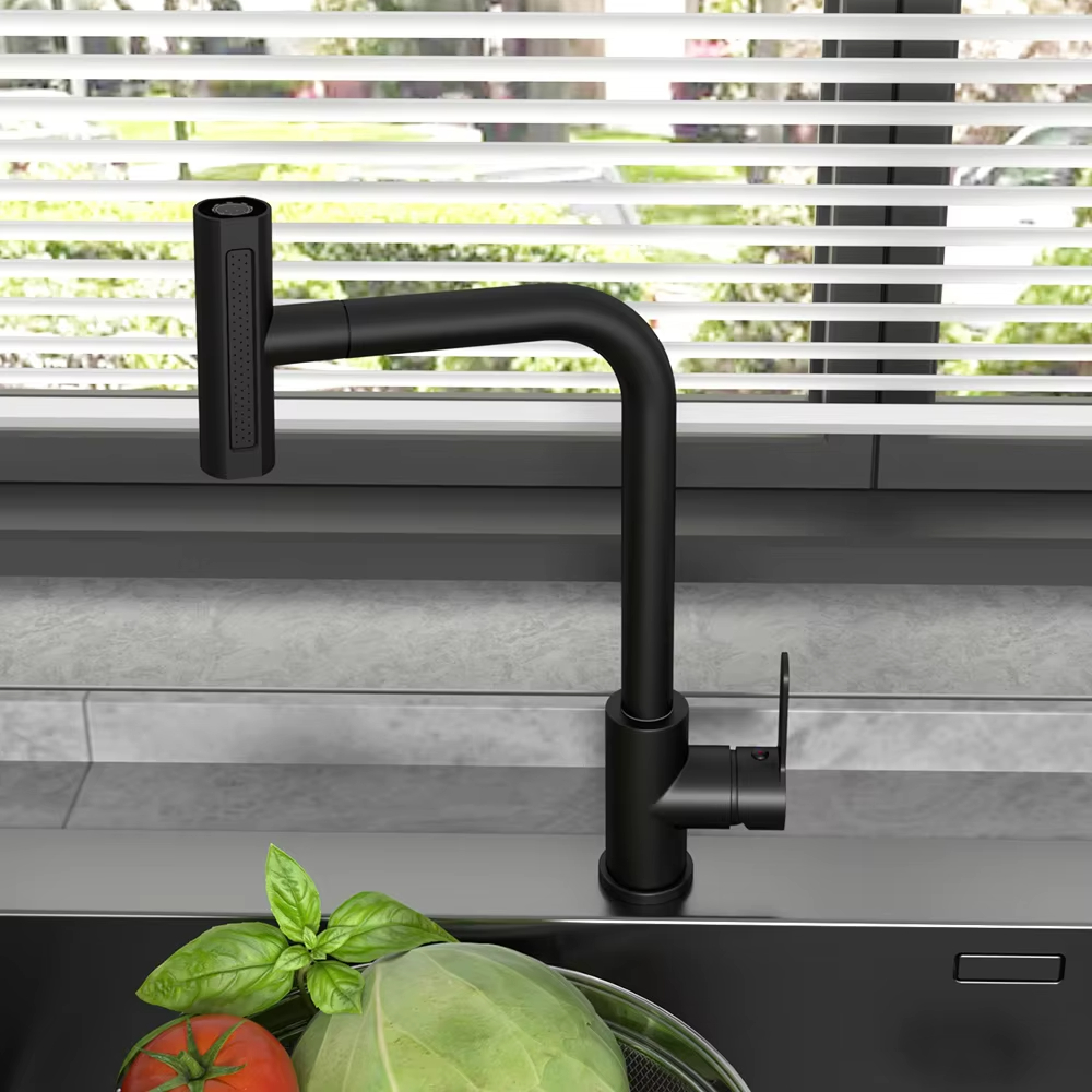 Schwarzer ausziehbarer Küchens – Commercial Kitchen Faucets Bewertung und Preis