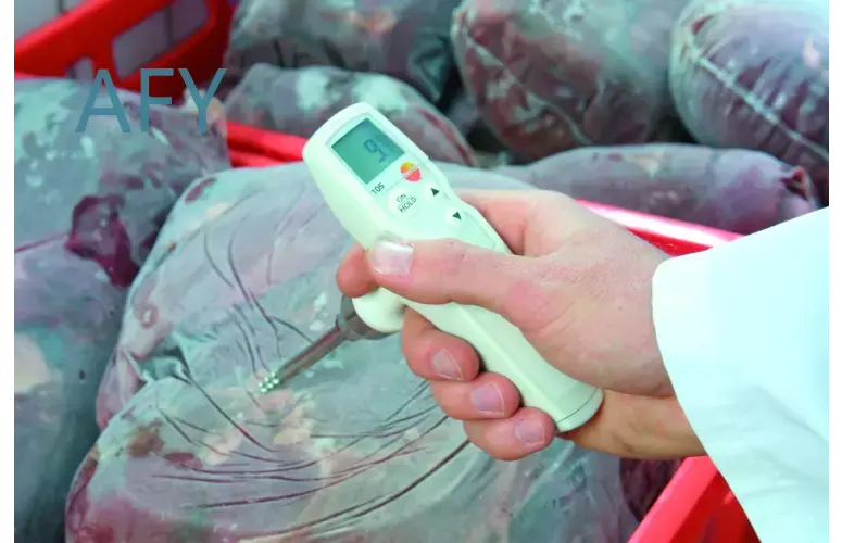 testo 105 für Lebensmittelther – Commercial Kitchen Inspection Bewertung und Preis